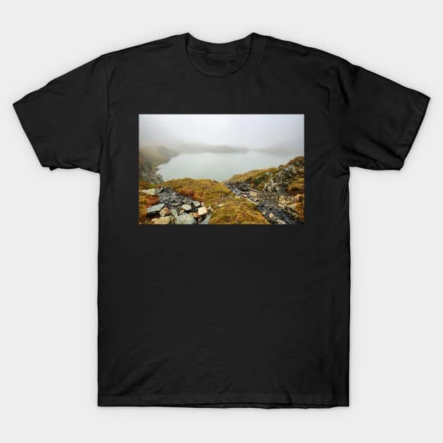 Glacial lake in the mountains T-Shirt by naturalis